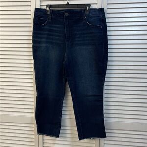 Terra & Sky Stretch Dark Wash Denim Cut Off Frayed Hem Blue Jeans Size 16W